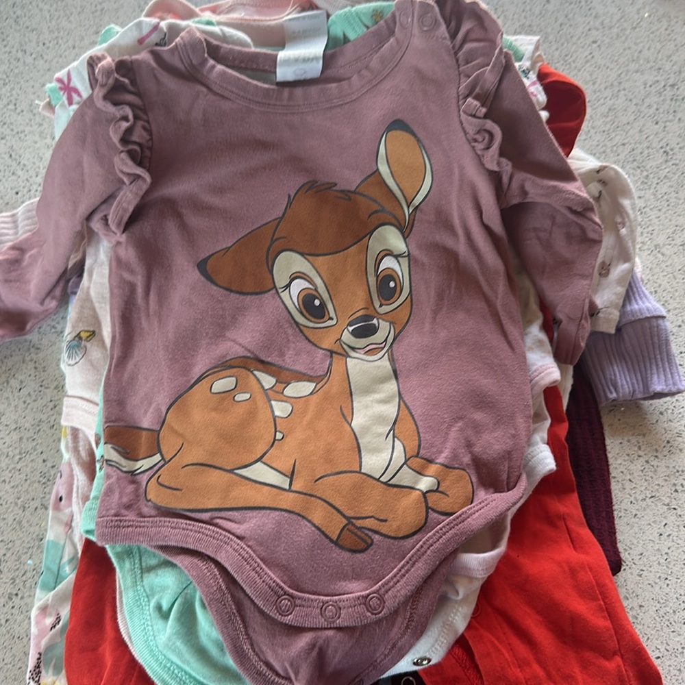 Bundle of  Baby Girl 3-6 month onsies 23  items